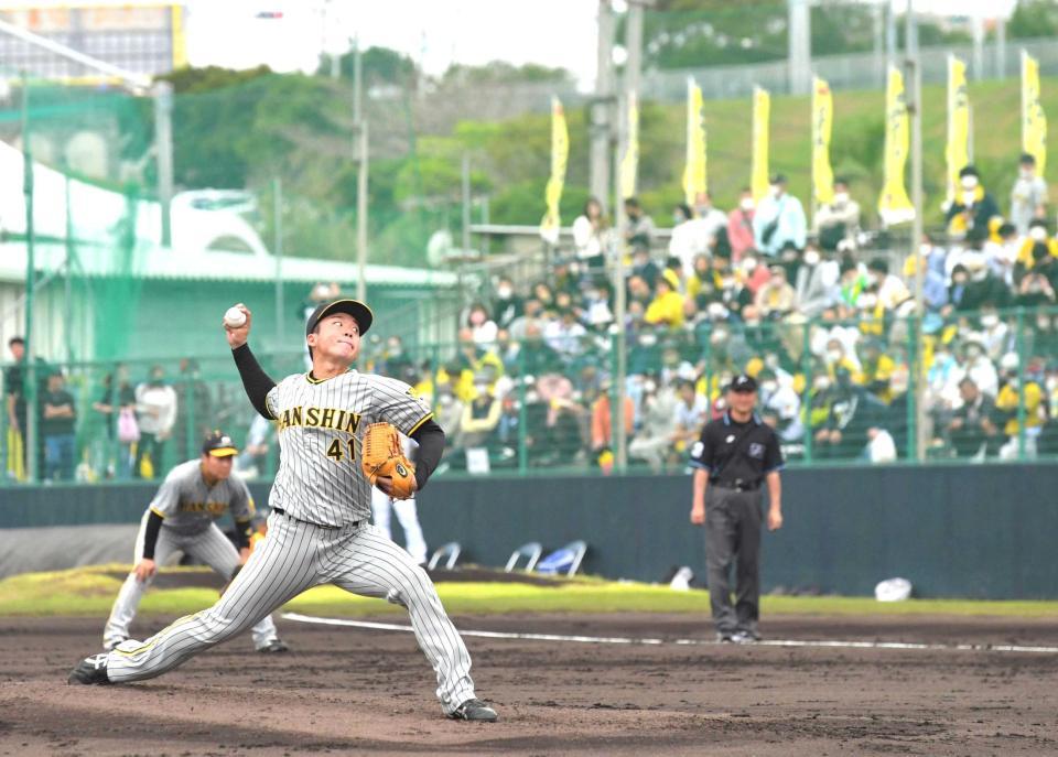 　大勢の観客が集まった紅白戦に先発し力投する村上（撮影・北村雅宏）