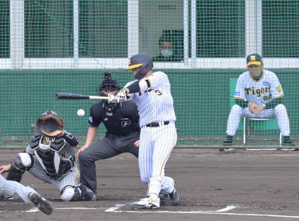 　１回、左前へ適時打を放つ大山。右は岡田監督（撮影・立川洋一郎）