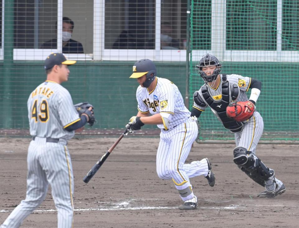 　６回、投ゴロに打ち取られる代打・森下。左は大竹（撮影・立川洋一郎）