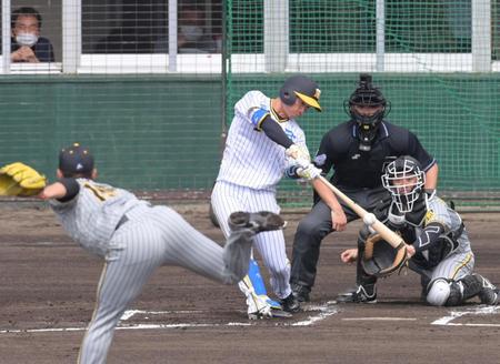 　１回、右前打を放つ近本（撮影・立川洋一郎）