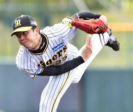 　紅白戦の白組で先発した才木（撮影・中田匡峻）