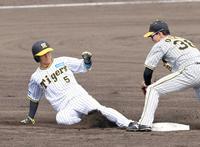 　１回、二盗を決める近本（撮影・立川洋一郎）