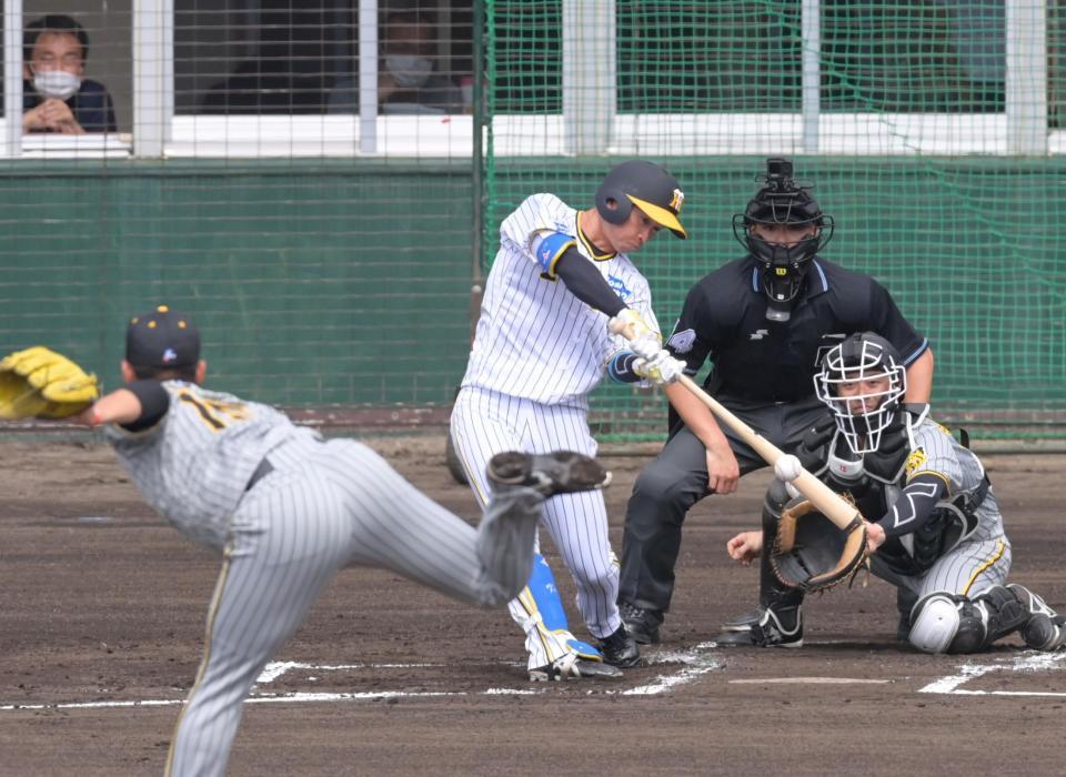 　１回、右前打を放つ近本（撮影・立川洋一郎）