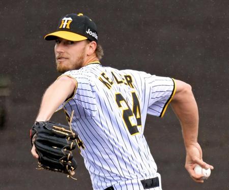 　ランチ特打で登板し力投するブライアン・ケラー（撮影・立川洋一郎）