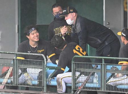 　ベンチでサンズ駐米スカウトと談笑する佐藤輝ら（撮影・飯室逸平）