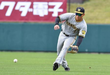 　シートノックを受ける森下（撮影・中田匡峻）