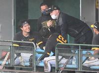 　ベンチでサンズ駐米スカウトと談笑する佐藤輝ら（撮影・飯室逸平）