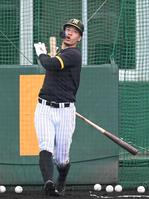 　打撃練習で快音を響かせる佐藤輝