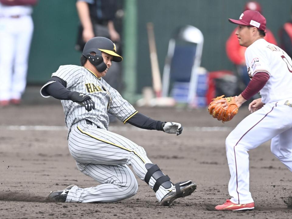 本格派ま！ 阪神タイガース 髙山俊選手 スローガン タオル zppsu.edu.ph