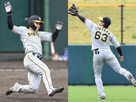 　（左）７回、坂本の内野安打で二塁へ滑り込む高山（右）１回、小深田の打球を好捕する板山