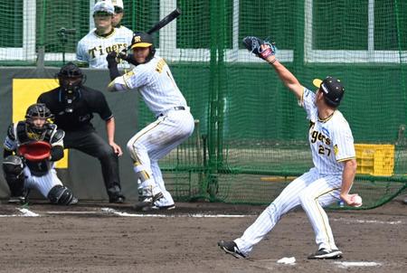 　森下相手に投球する伊藤将（撮影・飯室逸平）