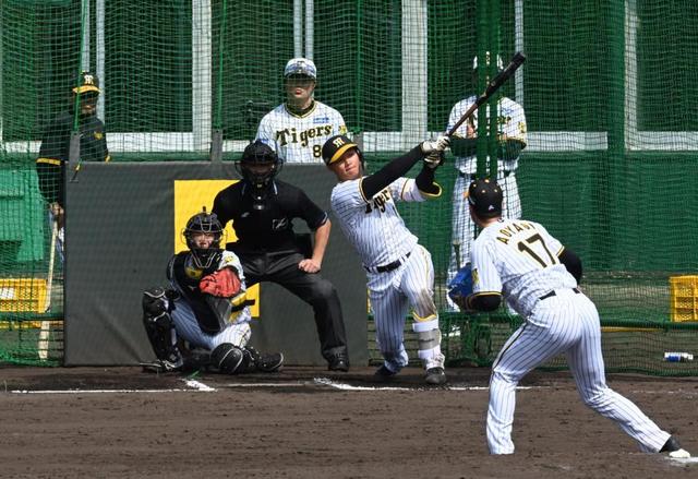 ともに開幕投手候補　阪神の青柳、伊藤将が初のフリー登板で調整