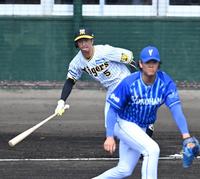 　１回、中前打を放つ近本（撮影・飯室逸平）