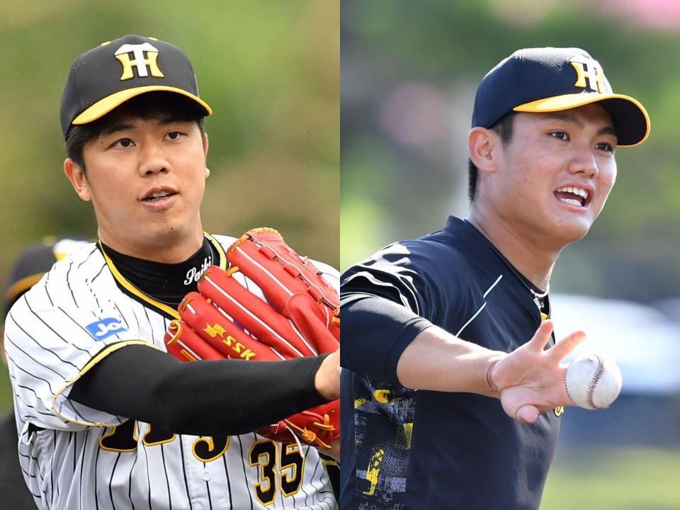 　阪神・才木（左）と西純