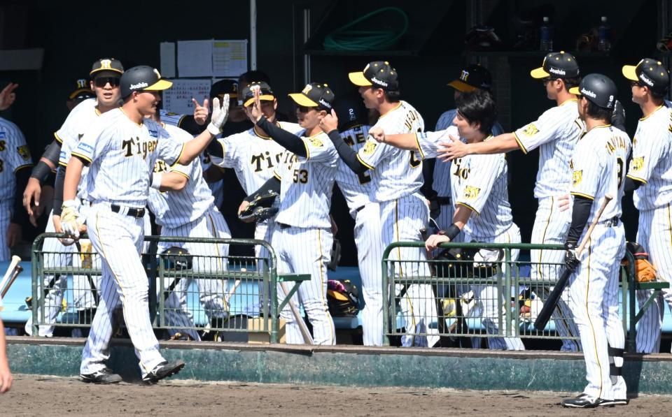 　３回、先制に沸く森下（左端）ら阪神ナイン（撮影・飯室逸平）