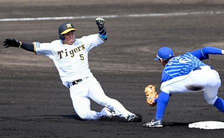 　１回、二盗を狙うもアウトになった近本（撮影・飯室逸平）