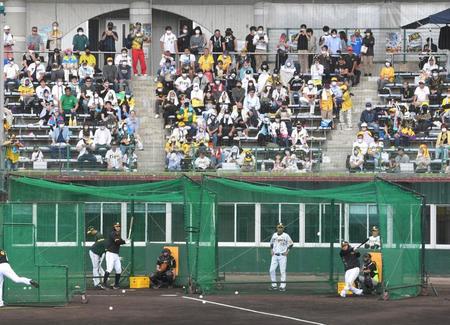 　並んでフリー打撃する森下（右）、佐藤輝（撮影・飯室逸平）