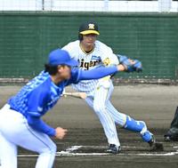 　１回、上茶谷から中前打を放つ近本（撮影・飯室逸平）