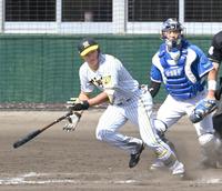 　７回、左前打を放つ森下（撮影・飯室逸平）