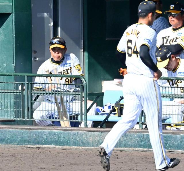 阪神・岡田監督、非情采配　乱調岡留独り相撲「チームに悪影響及ぼす」　死球、暴投、四球に断