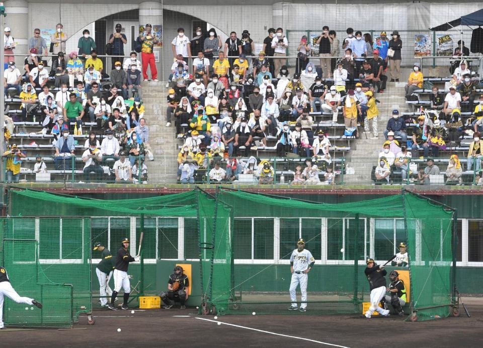 　並んでフリー打撃する森下（右）、佐藤輝（撮影・飯室逸平）