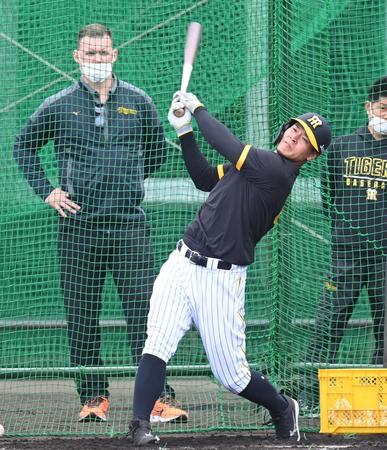 　サンズ駐米スカウト（左）が見守る中、打撃練習する佐藤輝（撮影・飯室逸平）