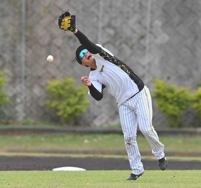 阪神ドラ１森下 浜風ＯＫ 初の特守で“浜風特訓” 岡田監督は肩絶賛