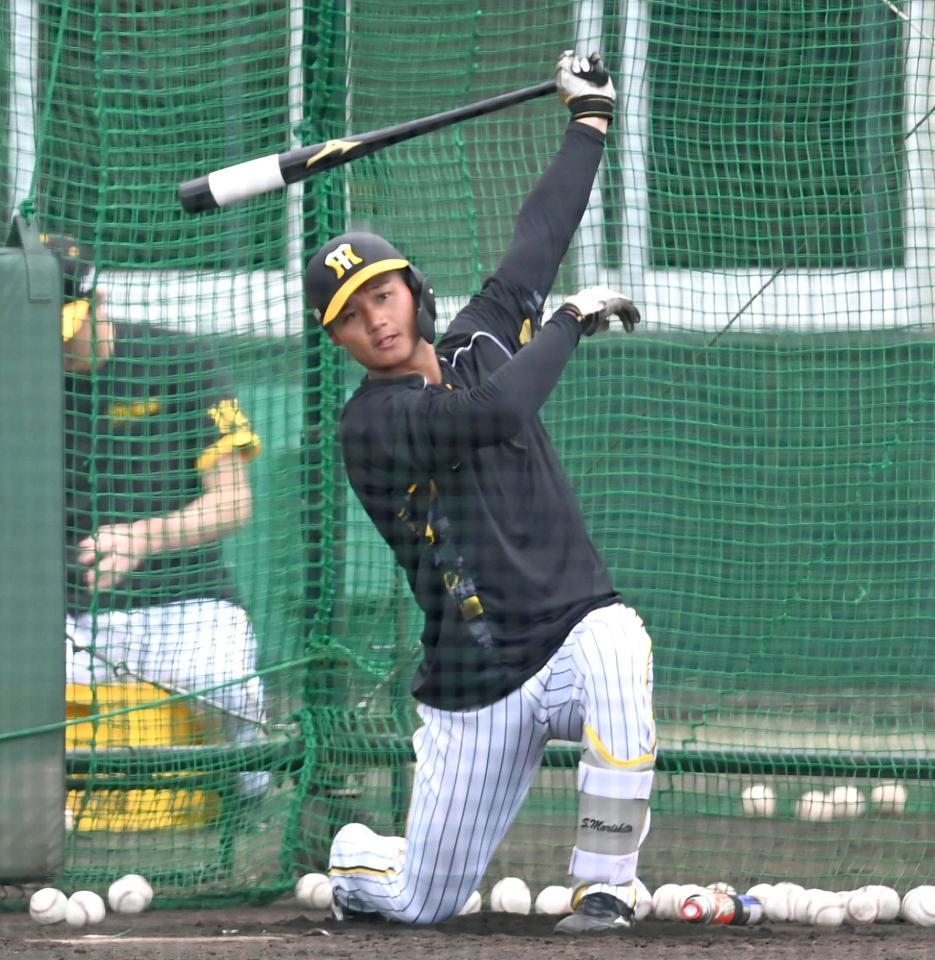 　打撃練習する森下（撮影・飯室逸平）