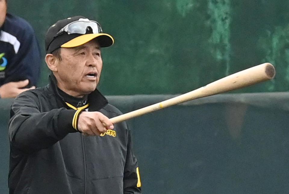 　バットを手に練習を見守る岡田監督（撮影・飯室逸平）
