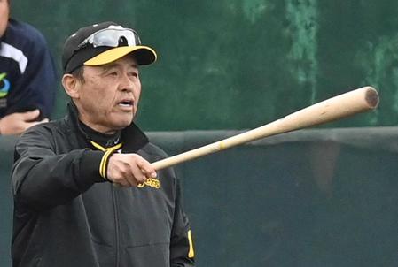 　バットを手に練習を見守る岡田監督（撮影・飯室逸平）