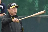　バットを手に練習を見守る岡田監督（撮影・飯室逸平）