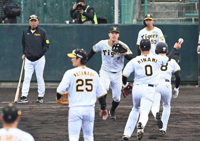 岡田阪神　２３日からサインプレー解禁　近本「スイッチが入る」