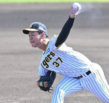 　７回に登板し力投する及川（撮影・西岡正）