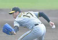 　新番号「１７」を背負い力投する青柳（撮影・高部洋祐）