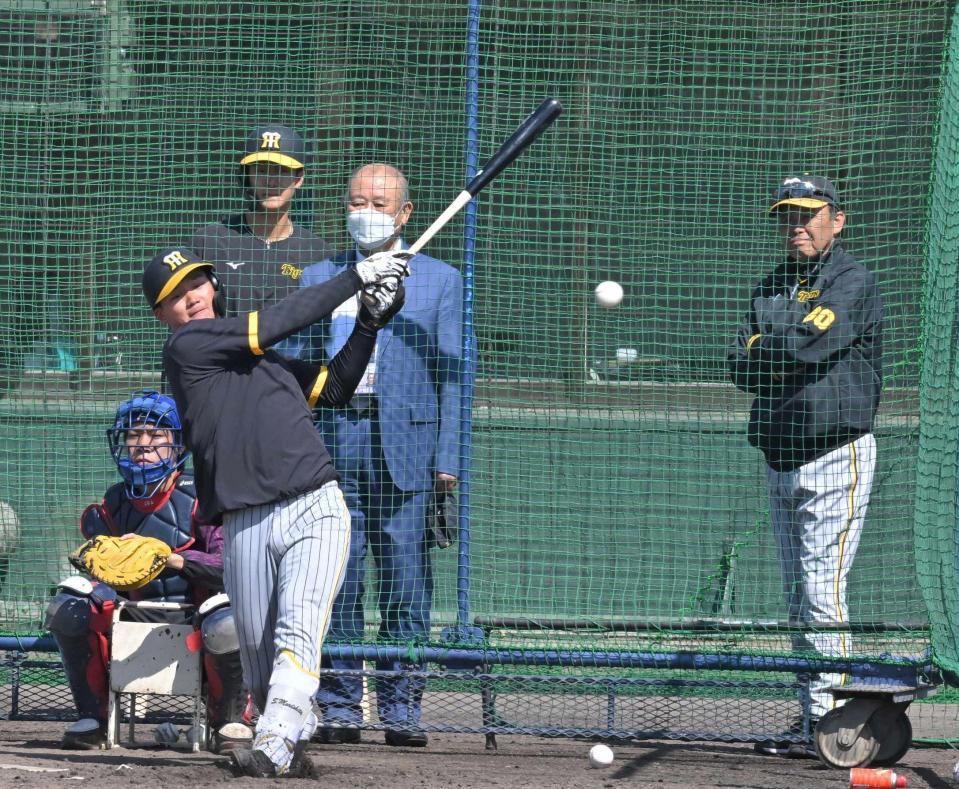 　打撃練習をする森下。右は岡田監督、右から２人目は藤田平氏（撮影・中田匡峻）