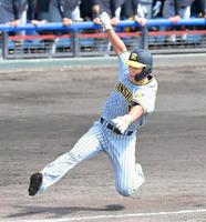 　２回、木浪の勝ち越し打で生還する森下（撮影・高部洋祐）