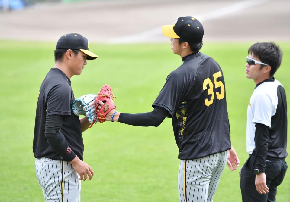 　試合前、キャッチボールを行った才木（右）とタッチをかわす西純（撮影・開出牧）