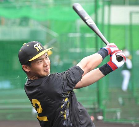　ロングティーで快音を響かせる井上（撮影・高部洋祐）