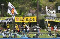 　阪神の応援団（撮影・中田匡峻）