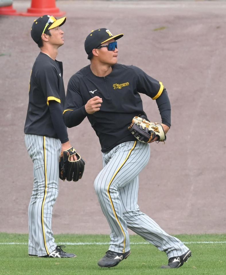 　試合前、近本（左）と共に外野ノックを受ける森下（撮影・高部洋祐）
