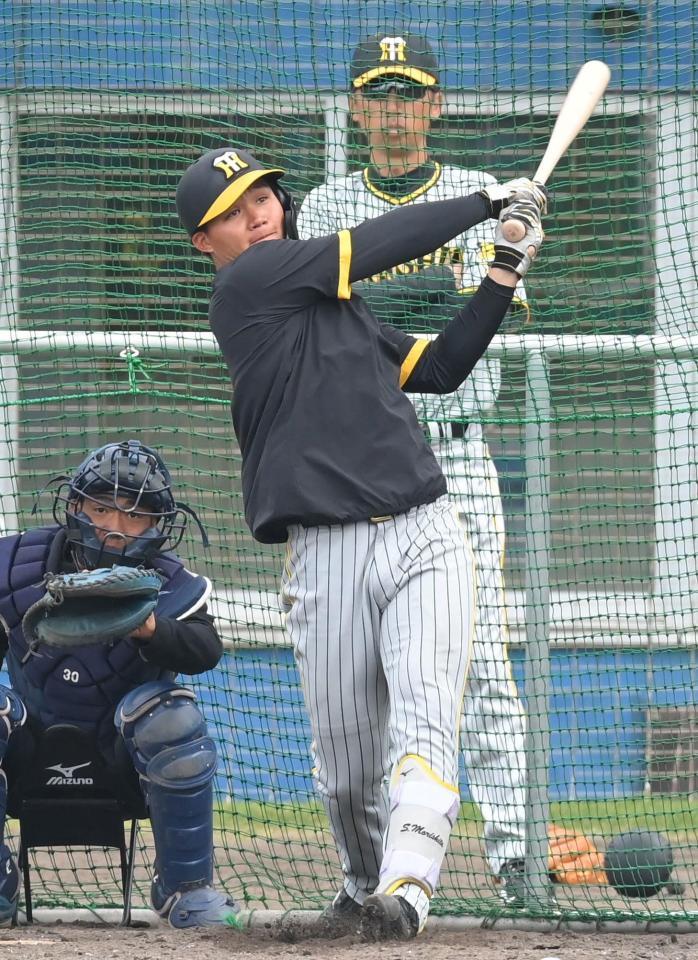 　試合前、フリー打撃を行う森下（撮影・高部洋祐）