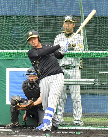 　打撃練習をする井上（撮影・中田匡峻）