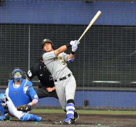 　５回、中越えソロを放つ井上（撮影・中田匡峻）
