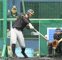 　岡田監督（後方）が見守る中、打撃練習する佐藤輝（撮影・中田匡峻）