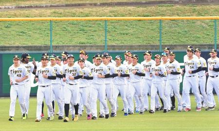 　キャンプの最後を締めくくる全体ランニングを行う井上（最前列左から３人目）ら阪神ナイン（撮影・高部洋祐）　