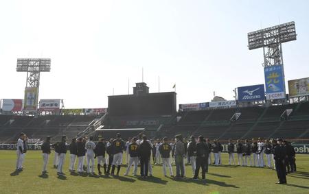 　練習前、グラウンドに集まる阪神ナイン（撮影・高部洋祐）