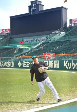 　甲子園での初練習に参加し、右翼の守備位置に就いてノックの打球を追う森下（撮影・立川洋一郎）