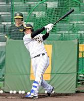 　フリー打撃で快音を響かせる井上（撮影・立川洋一郎）