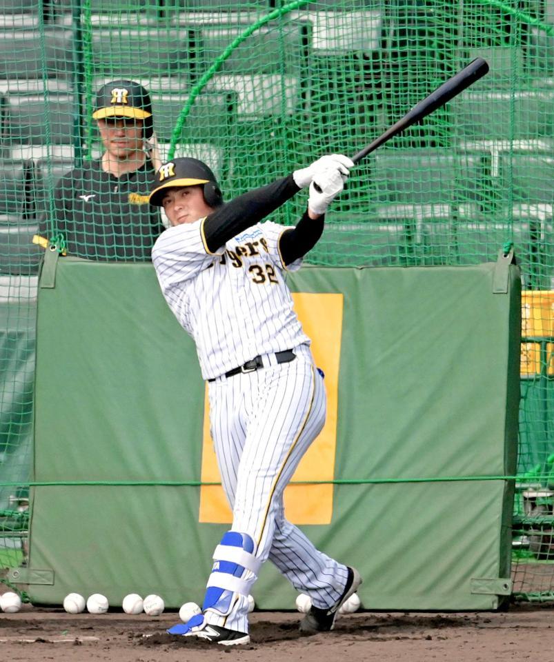 　フリー打撃で快音を響かせる井上（撮影・立川洋一郎）