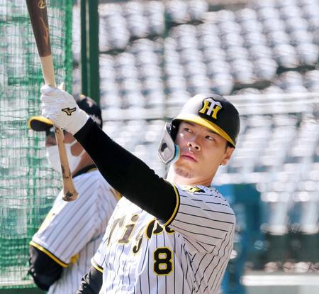 　佐藤輝の視線の先は侍エースからの大ホームランか（撮影・高部洋祐）